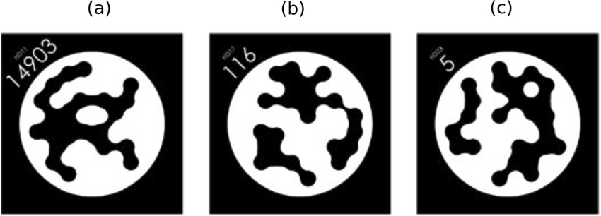 STag markers. Each marker has a unique identification, which is its internal circular codification